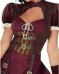 Adult Steampunk Dress Costume -Holiday Discount Store 01215037 c