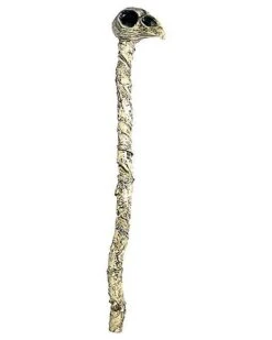 Witch Doctor Crow Staff
