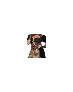 Adult Steampunk Lady Costume -Holiday Discount Store 01482488 e