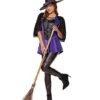 Adult Wicked Spell Caster Witch Costume