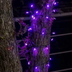 100-Count Purple Halloween LED String Lights 34ft -Holiday Discount Store 100 Count Purple Halloween LED String Lights 34ft 5 result 600x600 1