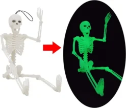 2Pcs Glow In The Dark Skeleton Halloween Decoration -Holiday Discount Store 2 Pcs Glow In The Dark Skeleton 5 600x513 1