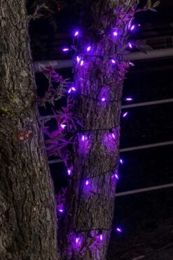 Battery Operated 50 Counts Purple LED String Lights 17.3ft -Holiday Discount Store 31138 4 600x899 1