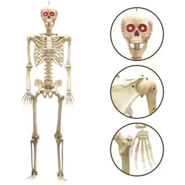 Posable Life Size Skeleton With Red Light Eyes 60in 3 Posable Life Size Skeleton With Red Light Eyes 60in - Image 3