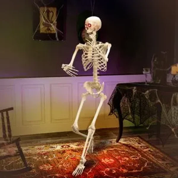 Posable Life Size Skeleton With Red Light Eyes 60in 5 Posable Life Size Skeleton With Red Light Eyes 60in - Image 5