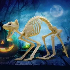 2pcs Halloween Cat Skeleton With Tail -Holiday Discount Store 81TXkTuqNBL. AC SL1500 600x600 1
