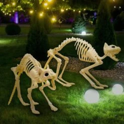 2pcs Halloween Cat Skeleton With Tail -Holiday Discount Store 91rXLRArPiL. AC SL1500 600x600 1