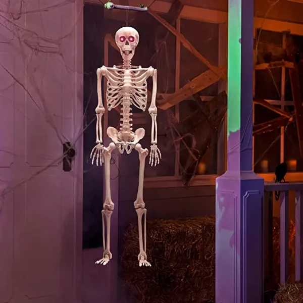 Posable Life Size Skeleton With Red Light Eyes 60in 1 Posable Life Size Skeleton With Red Light Eyes 60in