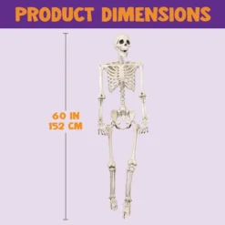 Posable Skeleton Halloween Decoration 5ft -Holiday Discount Store Posable Skeleton Halloween Decoration 5ft 6 result 600x600 1