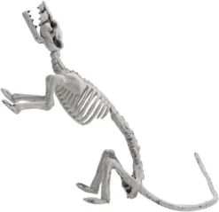 3pcs Posable Plastic Rat Skeleton Decoration 14in 11 3pcs Posable Plastic Rat Skeleton Decoration 14in -Holiday Discount Store Pose N Stay Rat Skeleton 2 600x580 1