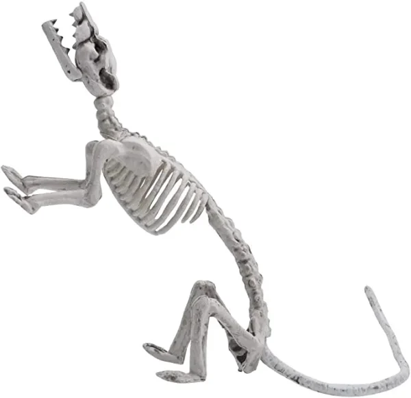 3pcs Posable Plastic Rat Skeleton Decoration 14in 6 3pcs Posable Plastic Rat Skeleton Decoration 14in - Image 6
