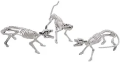 3pcs Posable Plastic Rat Skeleton Decoration 14in 8 3pcs Posable Plastic Rat Skeleton Decoration 14in -Holiday Discount Store Pose N Stay Rat Skeleton 7 600x309 1