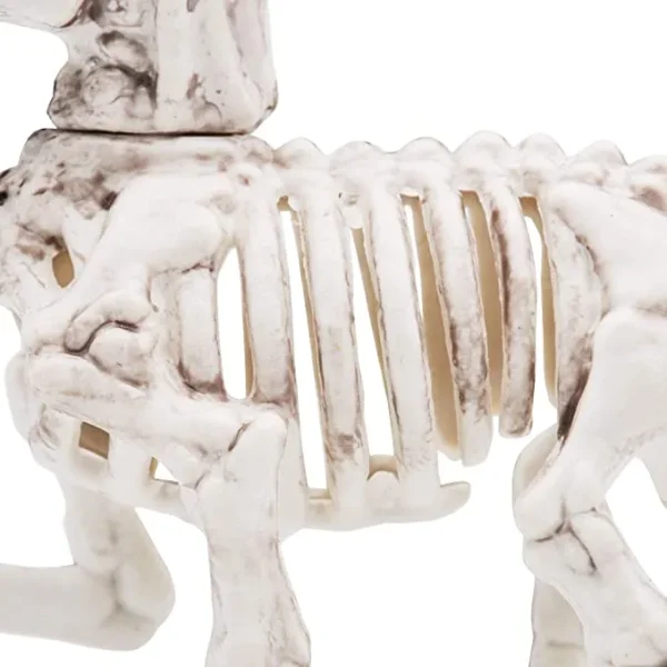 2pcs Posable Plastic Unicorn Skeleton Decoration 7in 4 2pcs Posable Plastic Unicorn Skeleton Decoration 7in - Image 4