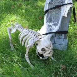 Halloween Posable Dog Skeleton Decoration 16in -Holiday Discount Store Pose n stay Puppy Skeleton Dog 4 result 600x600 1