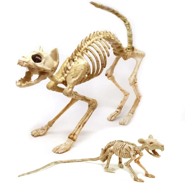 Skeleton Cat & Rat Set 2 Skeleton Cat & Rat Set - Image 2