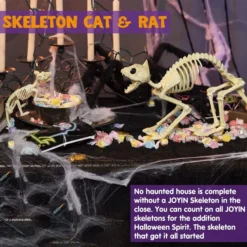 Skeleton Cat & Rat Set 8 Skeleton Cat & Rat Set -Holiday Discount Store Skeleton Cat Rat Set 3 result 600x600 1