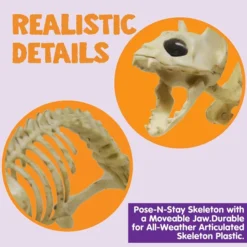 Skeleton Cat & Rat Set 9 Skeleton Cat & Rat Set -Holiday Discount Store Skeleton Cat Rat Set 4 result 600x600 1