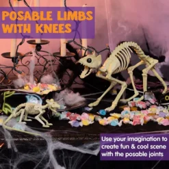 Skeleton Cat & Rat Set 10 Skeleton Cat & Rat Set -Holiday Discount Store Skeleton Cat Rat Set 5 result 600x600 1