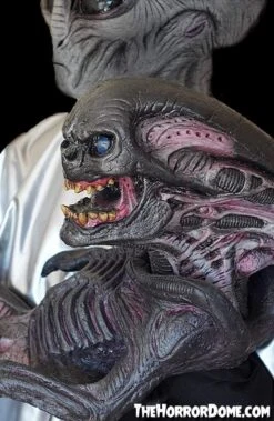 "Alien Xenomorph Puppet" HD Studios Halloween Prop