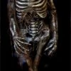 "Ancient Egyptian Mummy" Professional Halloween Prop