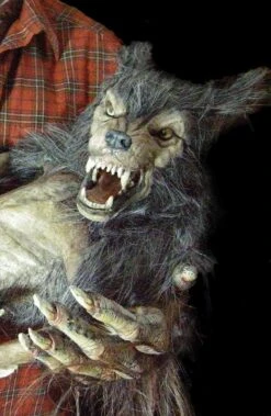 "Baby Werewolf Puppet" HD Studios Halloween Prop -Holiday Discount Store baby werewolf puppet hd studios halloween prop 14159829270576