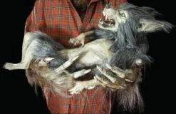"Baby Werewolf Puppet" HD Studios Halloween Prop -Holiday Discount Store baby werewolf puppet hd studios halloween prop 8671037569
