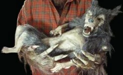 "Baby Werewolf Puppet" HD Studios Halloween Prop -Holiday Discount Store baby werewolf puppet hd studios halloween prop 8671039169