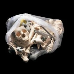 "Bag Of Bones - Large" Halloween Prop