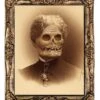 "Changing Portrait - Aunt Hazel" Halloween Decoration