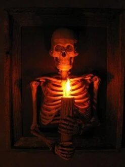 "Framed 3D Skeleton Torso Holding Candle" Hanging Haunted House Decoration -Holiday Discount Store framed 3d skeleton torso holding candle hanging haunted house decoration 28758724247600