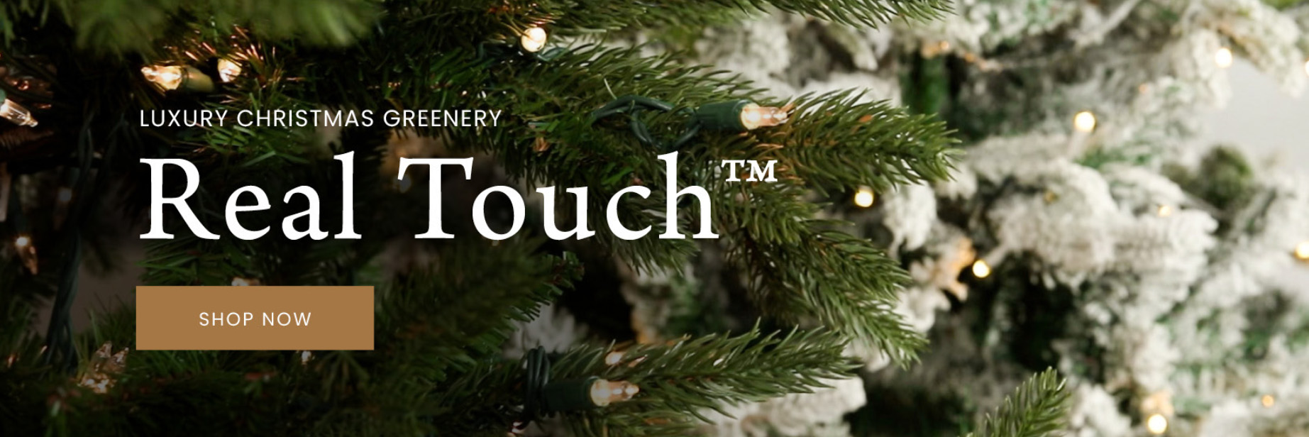 Holiday Discount Store -Holiday Discount Store fuyu