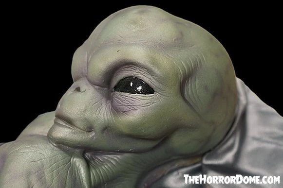 "Roswell Alien Baby Crash Victim" HD Exclusive Halloween Decoration 2 "Roswell Alien Baby Crash Victim" HD Exclusive Halloween Decoration - Image 2
