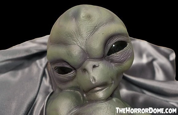 "Roswell Alien Baby Crash Victim" HD Exclusive Halloween Decoration 3 "Roswell Alien Baby Crash Victim" HD Exclusive Halloween Decoration - Image 3