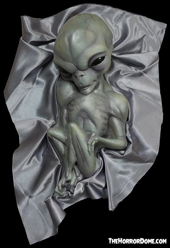 "Roswell Alien Baby Crash Victim" HD Exclusive Halloween Decoration 4 "Roswell Alien Baby Crash Victim" HD Exclusive Halloween Decoration - Image 4