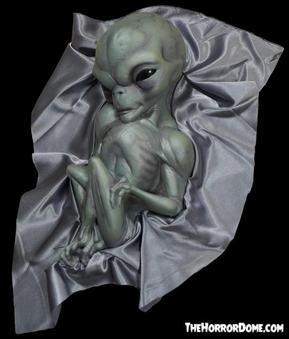 "Roswell Alien Baby Crash Victim" HD Exclusive Halloween Decoration 1 "Roswell Alien Baby Crash Victim" HD Exclusive Halloween Decoration