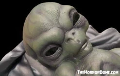 "Roswell Alien Baby Crash Victim" HD Exclusive Halloween Decoration 9 "Roswell Alien Baby Crash Victim" HD Exclusive Halloween Decoration -Holiday Discount Store new for 2022 roswell alien baby crash victim hd exclusive halloween decoration 30106412580912