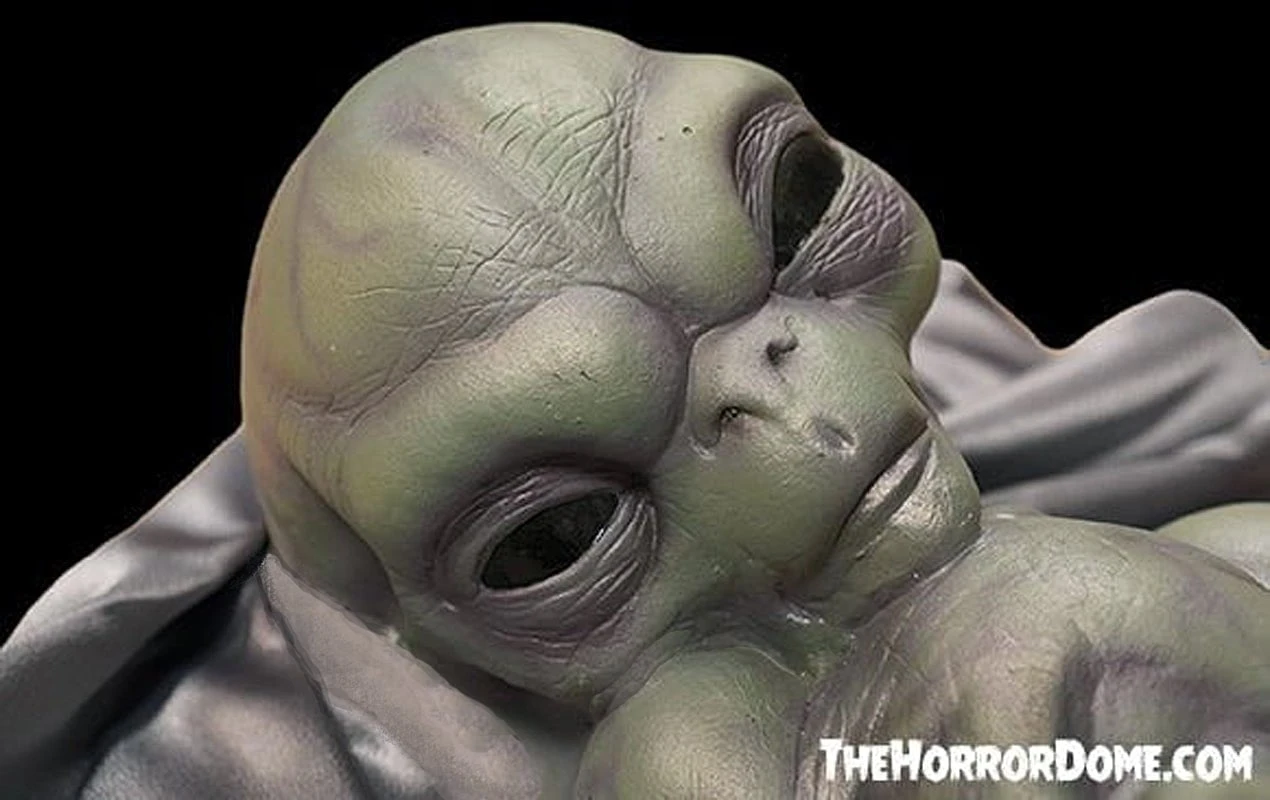 "Roswell Alien Baby Crash Victim" HD Exclusive Halloween Decoration 5 "Roswell Alien Baby Crash Victim" HD Exclusive Halloween Decoration - Image 5
