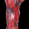 "Peeled Flesh - Left Arm" Human Body Part Halloween Prop