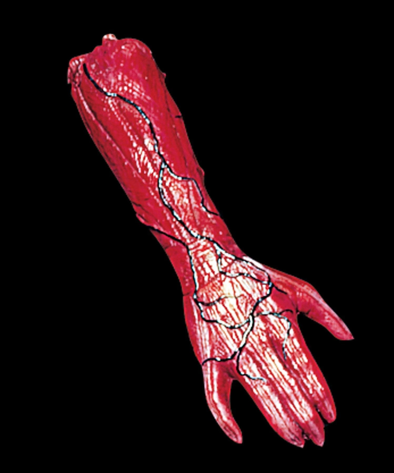 "Peeled Flesh - Right Arm" Human Body Part Halloween Prop 1 "Peeled Flesh - Right Arm" Human Body Part Halloween Prop