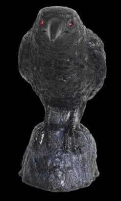 "Raven With Turning Head" Animated Halloween Prop