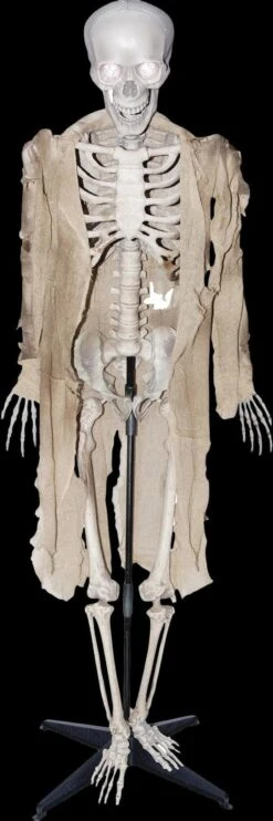 "Talking Skeleton" Halloween Prop - Open Box