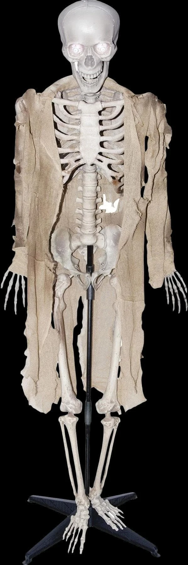 "Talking Skeleton" Halloween Prop - Open Box 1 "Talking Skeleton" Halloween Prop - Open Box